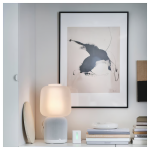 16x20 Black Lomviken - Image 5